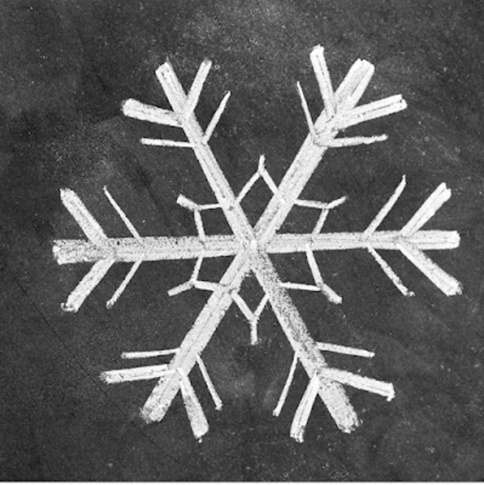 Meet your Posher, Sabrina